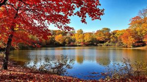 brooklyn park minnesota location