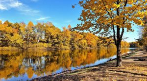 champlin minnesota location identifier