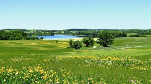 independence minnesota location reference