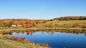 medina minnesota location identified